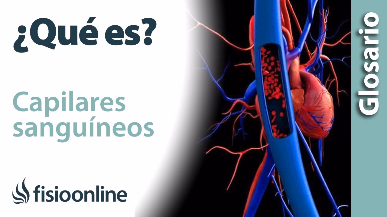¿Qué significa capilarmente?