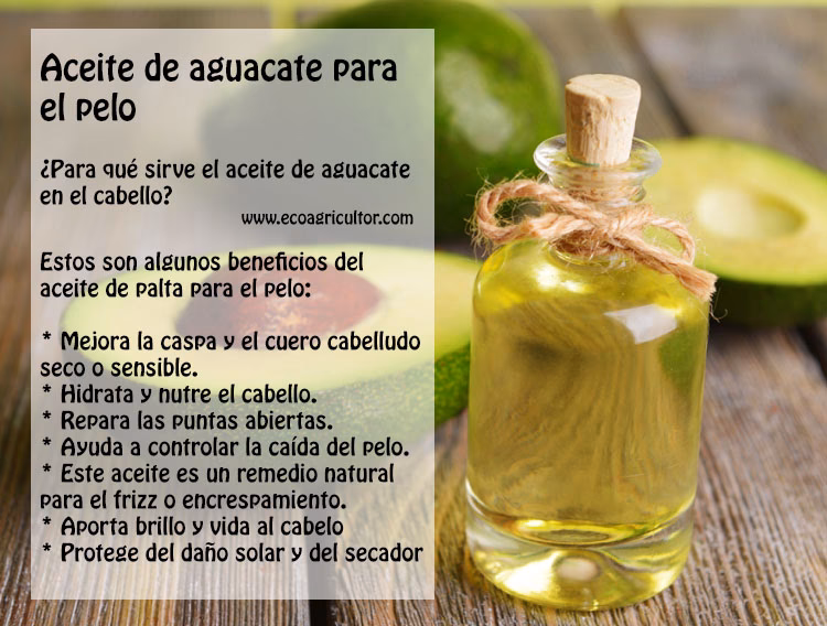 ¿Qué hace el aguacate en el rostro?