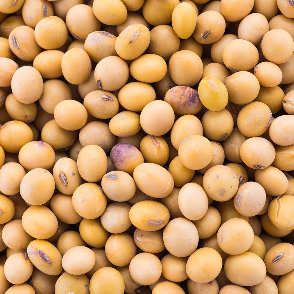 ¿Qué hace la soya en el cabello?