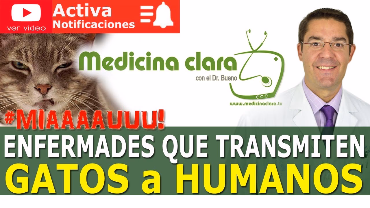 ¿Qué pasa si un pelo de gato se va a los pulmones?