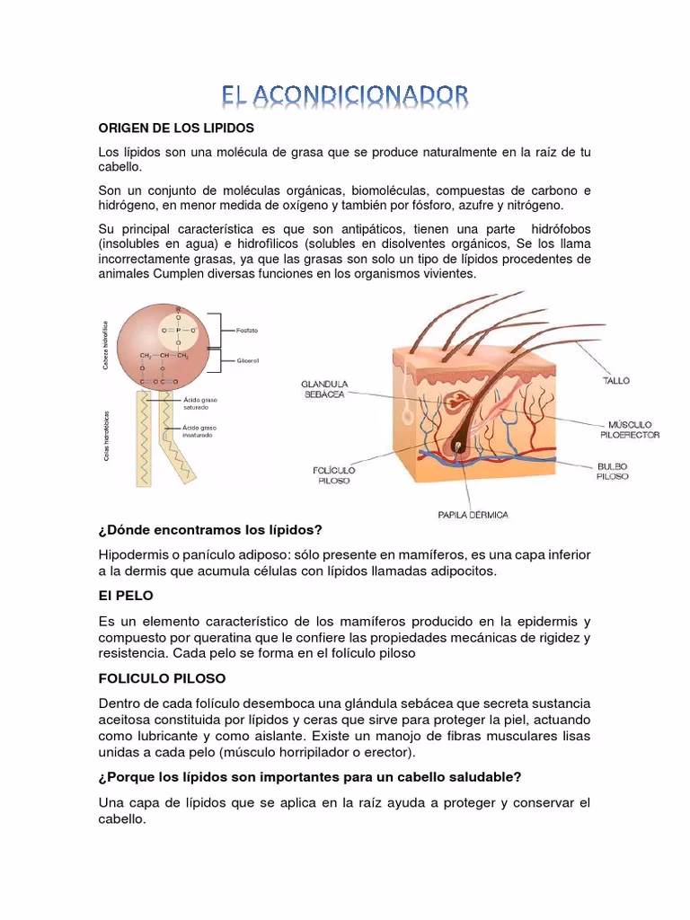¿Cuáles son los lípidos del cabello?