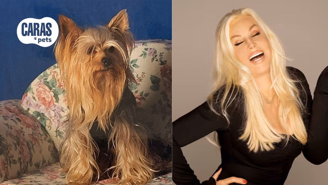 ¿Cuánto vale el perro de Susana Giménez?