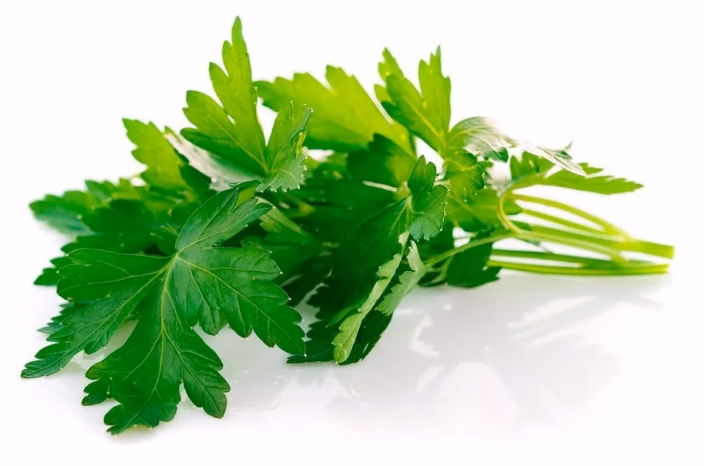 ¿Qué hace el perejil en el cabello?