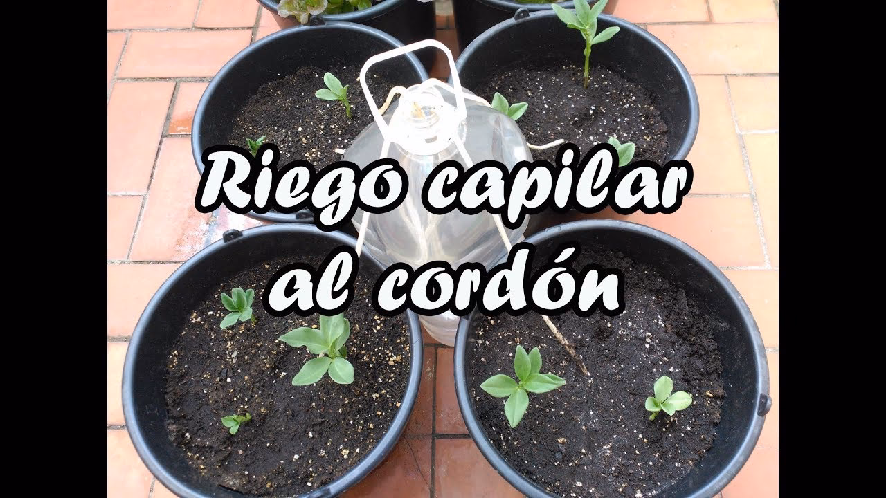 ¿Cuáles son los 3 tipos de riego por goteo?