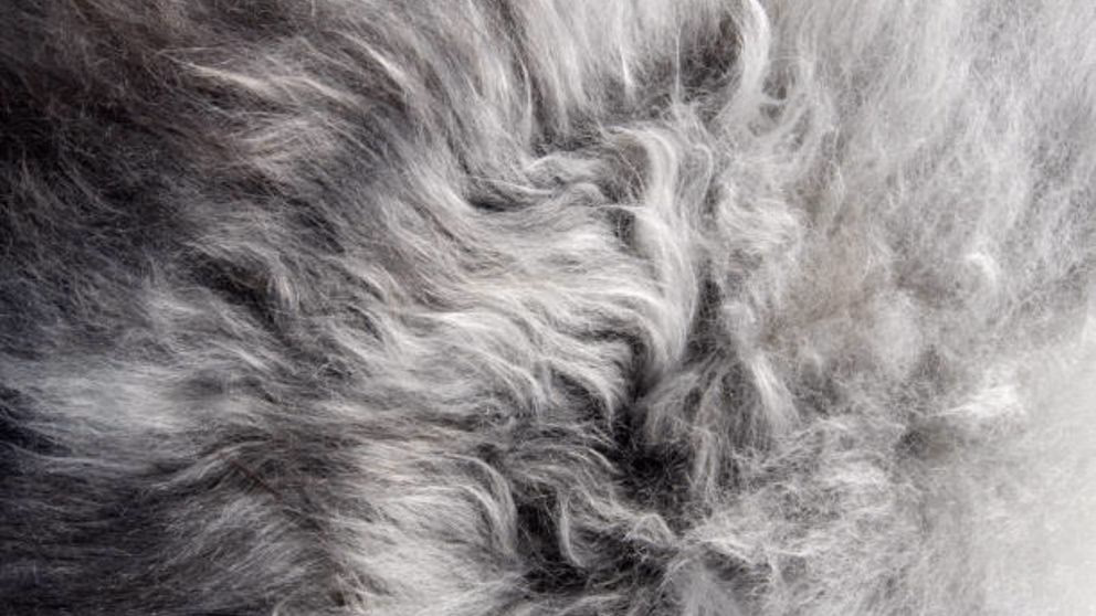 ¿Puedo poner una alfombra larga en la lavadora?