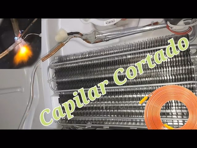 ¿Cómo se llenan los tubos capilares?