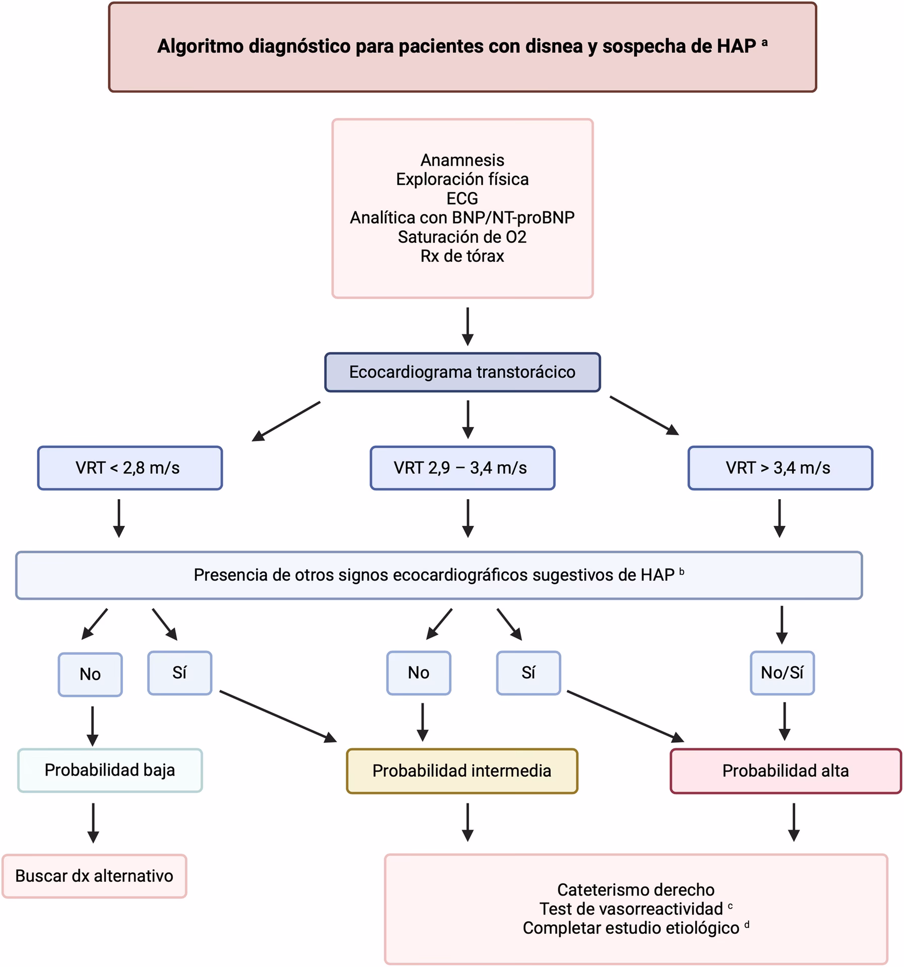 ¿Qué síntomas tiene el HP?