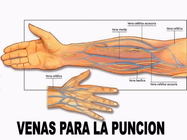 ¿Cuáles son las técnicas de la venopunción?