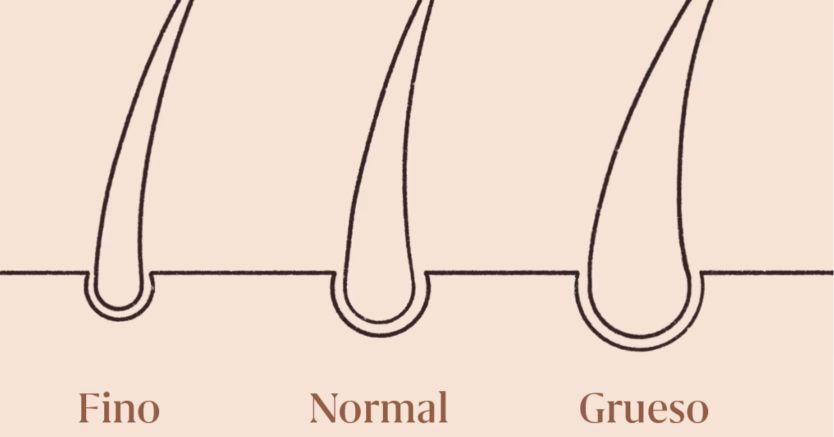 ¿Cómo saber qué tipo de cabello tengo, graso seco o mixto?