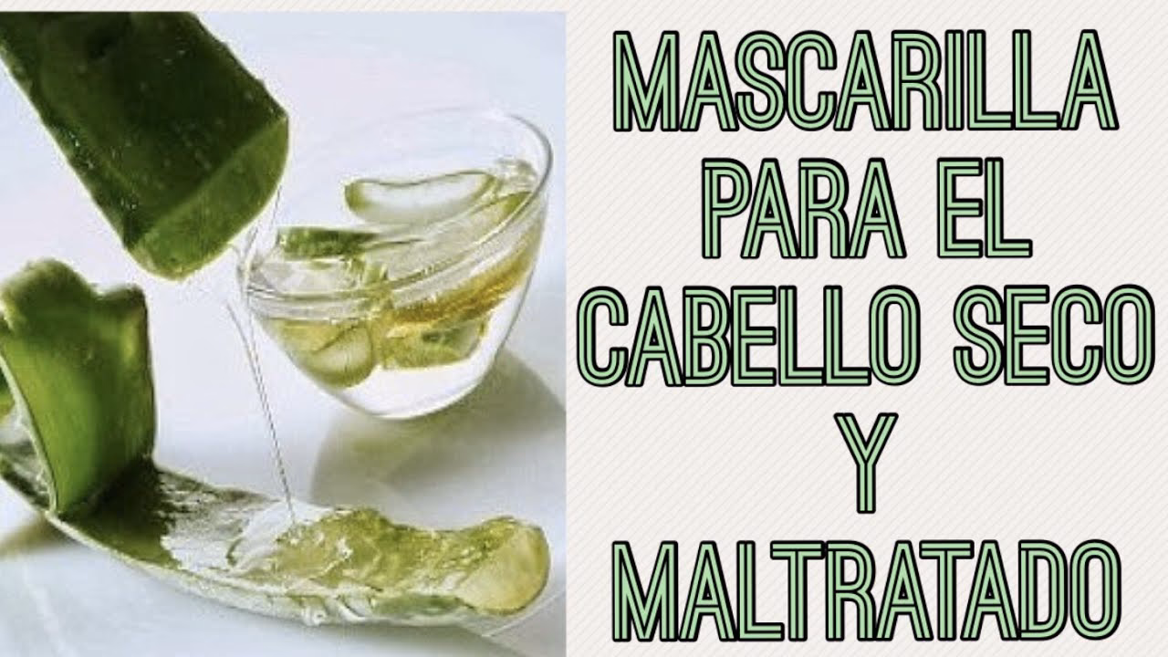 ¿Cómo preparar la sábila para el cabello seco y maltratado?