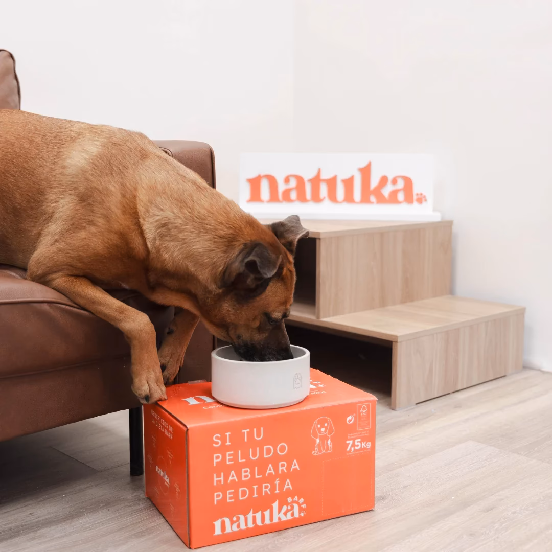 ¿Cómo bañar al perro con vinagre de manzana?