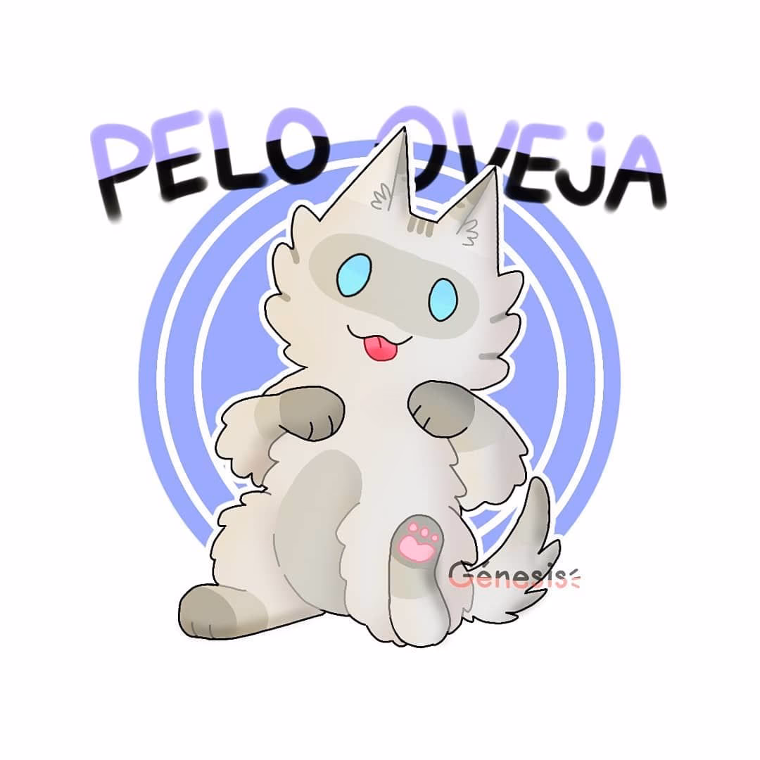 ¿Qué le pasó a ZarpasSucias?